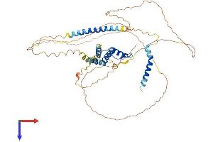 ACBD5 Protein (AA 1-508) (His tag)