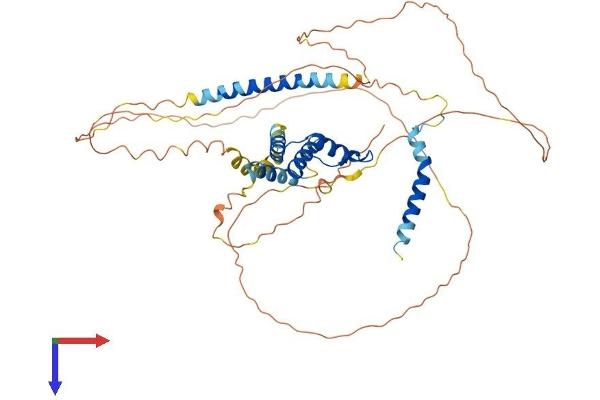 ACBD5 Protein (AA 1-508) (His tag)