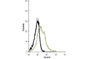 Flow Cytometry (FACS) image for anti-Potassium Intermediate/small Conductance Calcium-Activated Channel, Subfamily N, Member 4 (KCNN4) (Extracellular) antibody (ABIN7044556)