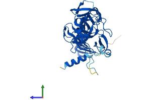 Protein Structure (PS) image for SET Domain Containing (Lysine Methyltransferase) 7 (SETD7) (AA 1-366) protein (His tag) (ABIN7555491)