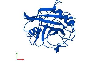 Protein Structure (PS) image for Peptidylprolyl Isomerase A (Cyclophilin A) (PPIA) (AA 1-164) protein (His tag) (ABIN7562919)