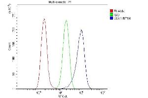 Flow Cytometry analysis of A549 cells using anti-ULK1 antibody (ABIN7602755).