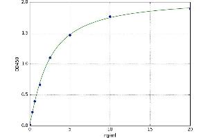 A typical standard curve