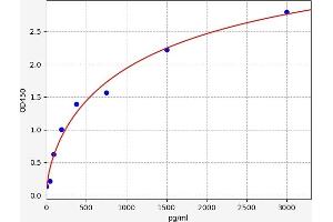 NOTCH3 ELISA 试剂盒