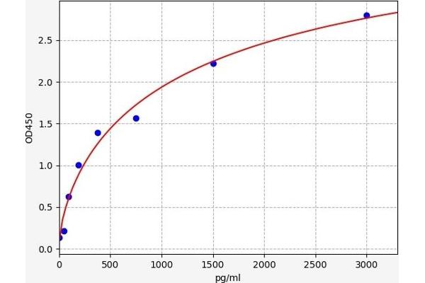 NOTCH3 ELISA 试剂盒