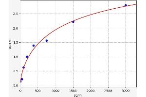 Typical standard curve (NOTCH3 ELISA 试剂盒)