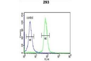 Flow Cytometry (FACS) image for anti-serine/threonine Kinase 40 (STK40) antibody (ABIN3004006) (STK40 抗体)