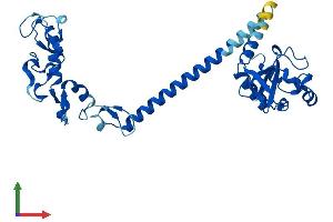 AlphaFold protein structure predicition of Mouse Recombinant Rnf41 Protein, UniprotID Q8BH75