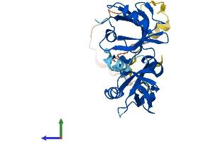 Protein Structure (PS) image for Syndecan Binding Protein (Syntenin) 2 (SDCBP2) (AA 1-292) protein (His tag) (ABIN7560329)