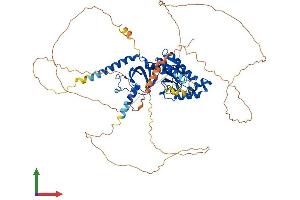 Protein Structure (PS) image for Calcium Channel, Voltage-Dependent, beta 2 Subunit (CACNB2) (AA 1-660) protein (His tag) (ABIN7552755)