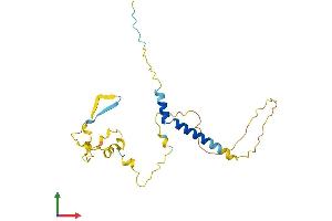 AlphaFold protein structure predicition of Human Recombinant TP53INP2 Protein, UniprotID Q8IXH6
