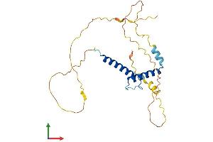 AlphaFold protein structure predicition of Mouse Recombinant Mesp1 Protein, UniprotID P97309 (MESP1 Protein (AA 1-243) (His tag))