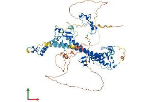 Protein Structure (PS) image for CXXC Finger Protein 1 (CXXC1) (AA 1-656) protein (His tag) (ABIN7546944)