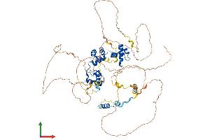 Protein Structure (PS) image for V-Myb Myeloblastosis Viral Oncogene Homolog (Avian)-Like 2 (MYBL2) (AA 1-700) protein (His tag) (ABIN7549629)