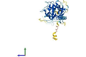 AlphaFold protein structure predicition of Mouse Recombinant Cfap161 Protein, UniprotID Q6P8Y0