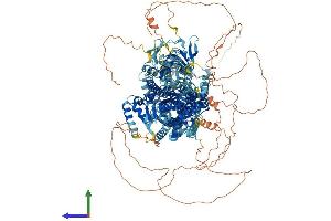 Protein Structure (PS) image for ATPase, Class V, Type 10A (ATP10A) (AA 1-1508) protein (His tag) (ABIN7562424)