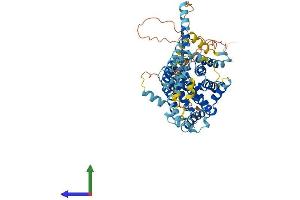 AlphaFold protein structure predicition of Mouse Recombinant Slc34a3 Protein, UniprotID Q80SU6 (SLC34A3 Protein (AA 1-601) (His tag))