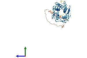 Protein Structure (PS) image for Zinc Finger Protein 85 (ZNF85) (AA 1-595) protein (His tag) (ABIN7545854)