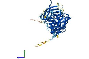 AlphaFold protein structure predicition of Mouse Recombinant Cpne9 Protein, UniprotID Q1RLL3