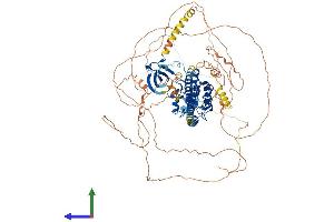 Protein Structure (PS) image for Mitogen-Activated Protein Kinase Kinase Kinase 12 (MAP3K12) (AA 1-888) protein (His tag) (ABIN7557596)