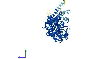 Protein Structure (PS) image for Cytochrome P450, Family 4, Subfamily V, Polypeptide 2 (CYP4V2) (AA 1-525) protein (His tag) (ABIN7565012)
