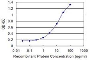 Detection limit for recombinant GST tagged RNF13 is 0. (RNF13 抗体  (AA 51-150))