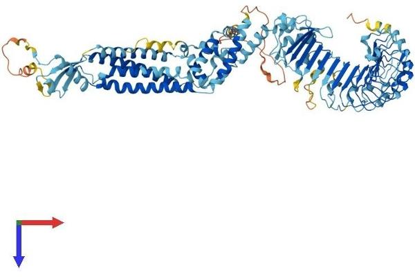 LRRC8B Protein (AA 1-803) (His tag)