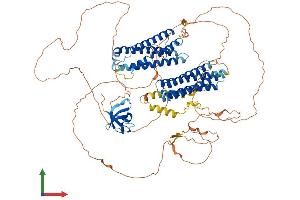 Protein Structure (PS) image for Neural Precursor Cell Expressed, Developmentally Down-Regulated 9 (NEDD9) (AA 1-833) protein (His tag) (ABIN7562277)