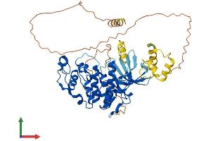 Protein Structure (PS) image for Cyclin-Dependent Kinase 16 (CDK16) (AA 1-496) protein (His tag) (ABIN7556883)