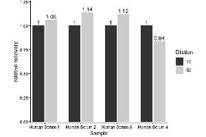 The Human Zonulin ELISA Kit was tested for linearity of dilution by using different dilutions of appropriate samples and testing for recovery using the SOP. (Zonulin ELISA 试剂盒)