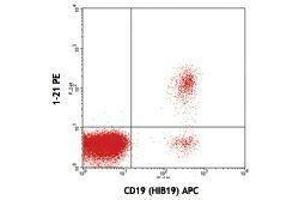 Flow Cytometry (FACS) image for anti-T-Cell Leukemia/lymphoma 1A (TCL1A) antibody (PE) (ABIN2663891) (TCL1A 抗体  (PE))