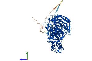 Protein Structure (PS) image for Kelch-Like 9 (KLHL9) (AA 1-617) protein (His tag) (ABIN7558142)