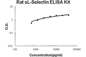 Rat sL-Selectin PicoKine ELISA Kit standard curve (L-Selectin ELISA 试剂盒)