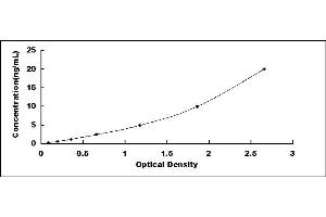 Typical standard curve (Septin 5 ELISA 试剂盒)