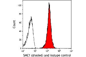 Flow Cytometry (FACS) image for anti-Structural Maintenance of Chromosomes 1A (SMC1A) (C-Term) antibody (ABIN7455193)