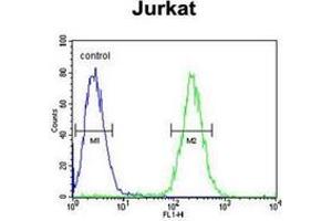 Flow cytometric analysis of Jurkat cells using GNAT1 Antibody (C-term) Cat. (GNAT1 抗体  (C-Term))