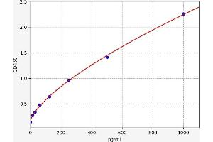 Typical standard curve