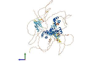 Protein Structure (PS) image for Zinc Fingers and Homeoboxes 1 (ZHX1) (AA 1-873) protein (His tag) (ABIN7556131)