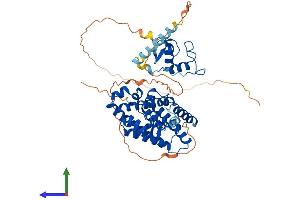 AlphaFold protein structure predicition of Mouse Recombinant Rora Protein, UniprotID P51448 (RORA Protein (AA 1-523) (His tag))