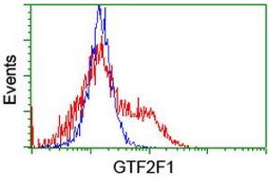 HEK293T cells transfected with either RC201294 overexpress plasmid (Red) or empty vector control plasmid (Blue) were immunostained by anti-GTF2F1 antibody (ABIN2454912), and then analyzed by flow cytometry.