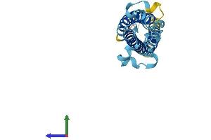 Protein Structure (PS) image for Transmembrane 4 L Six Family Member 1 (TM4SF1) (AA 1-202) protein (His tag) (ABIN7557822)