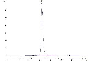 Size-exclusion chromatography-High Pressure Liquid Chromatography (SEC-HPLC) image for CD248 Molecule, Endosialin (CD248) (AA 18-687) protein (His tag) (ABIN7275687)