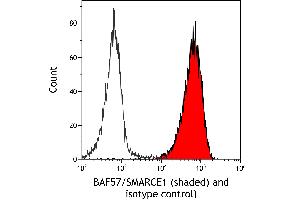 Flow Cytometry (FACS) image for anti-SWI/SNF Related, Matrix Associated, Actin Dependent Regulator of Chromatin, Subfamily E, Member 1 (SMARCE1) (C-Term) antibody (ABIN7795731)