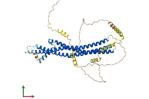 Protein Structure (PS) image for Islet Cell Autoantigen 1, 69kDa (ICA1) (AA 1-478) protein (His tag) (ABIN7556802)
