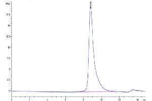 Size-exclusion chromatography-High Pressure Liquid Chromatography (SEC-HPLC) image for Sialic Acid Binding Ig-Like Lectin 10 (SIGLEC10) (AA 17-546) protein (His-Avi Tag,Biotin) (ABIN7275603)