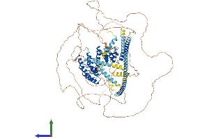 Protein Structure (PS) image for Protein Phosphatase 1, Regulatory Subunit 12B (PPP1R12B) (AA 1-982) protein (His tag) (ABIN7554664)