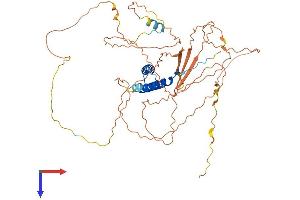 CABYR Protein (AA 1-493) (His tag)