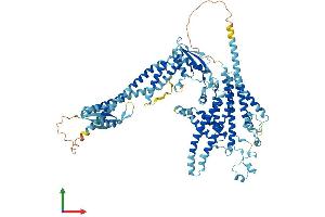 Protein Structure (PS) image for ATPase, H+ Transporting, Lysosomal V0 Subunit A4 (ATP6V0A4) (AA 1-840) protein (His tag) (ABIN7556028)