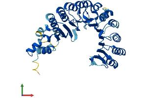 Protein Structure (PS) image for F-Box and Leucine-Rich Repeat Protein 8 (FBXL8) (AA 1-374) protein (His tag) (ABIN7559373)
