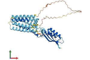 Protein Structure (PS) image for Solute Carrier Family 30 (Zinc Transporter), Member 7 (SLC30A7) (AA 1-376) protein (His tag) (ABIN7545770)